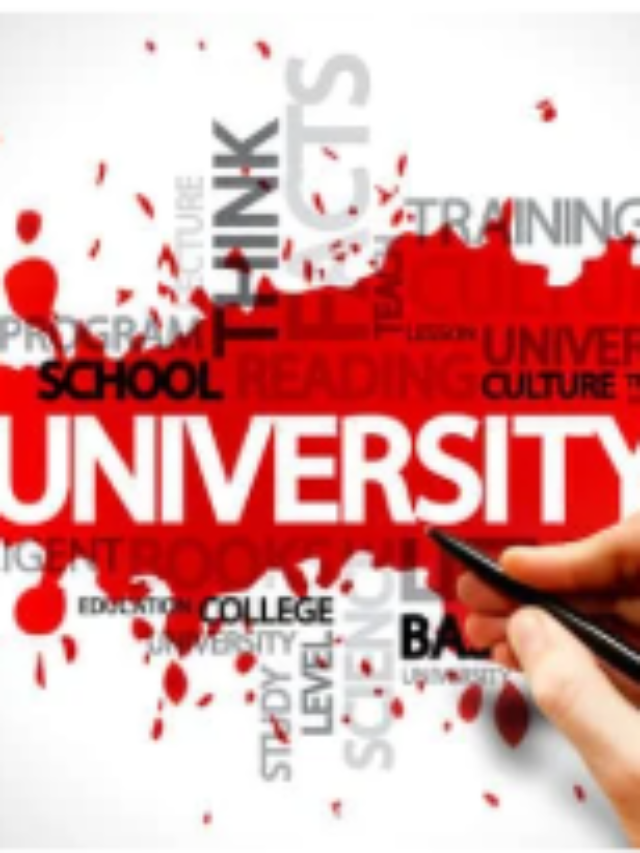 Bully: Scholarship Edition